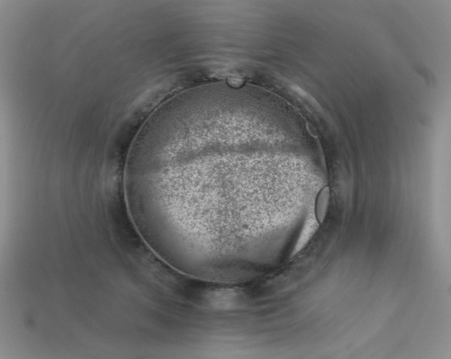 X0000113000513200909101759