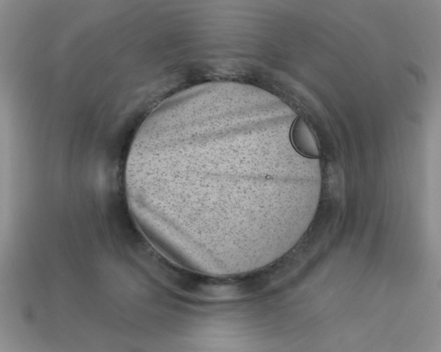 X0000113000514200909101759