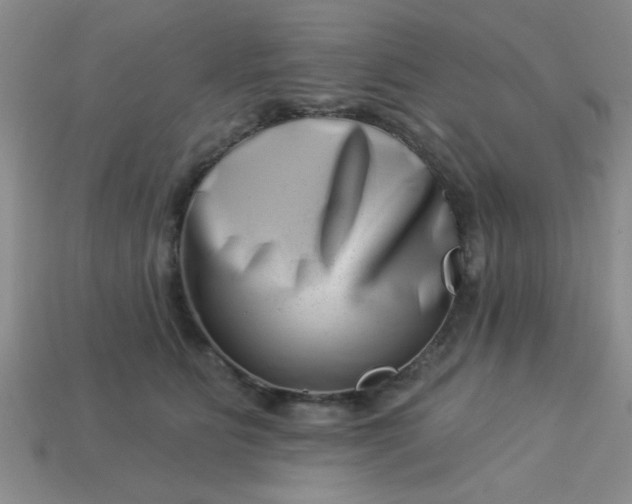 X0000113000515200909101759