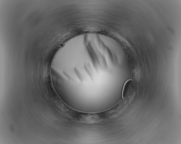 X0000113000517200909101759