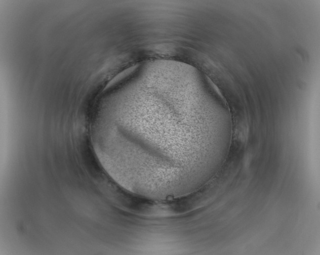 X0000113000518200909101759