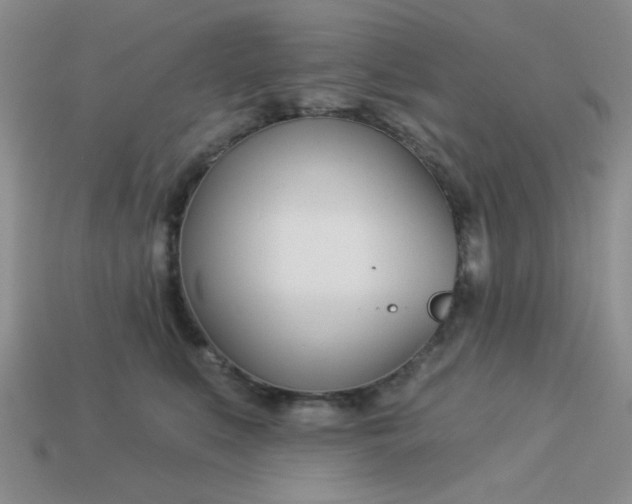 X0000113000519200909101759