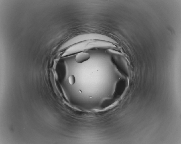 X0000113000520200909101759