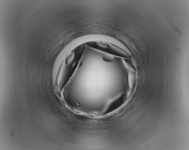 X0000113000521200909101759