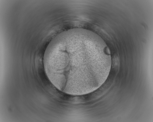 X0000113000522200909101759