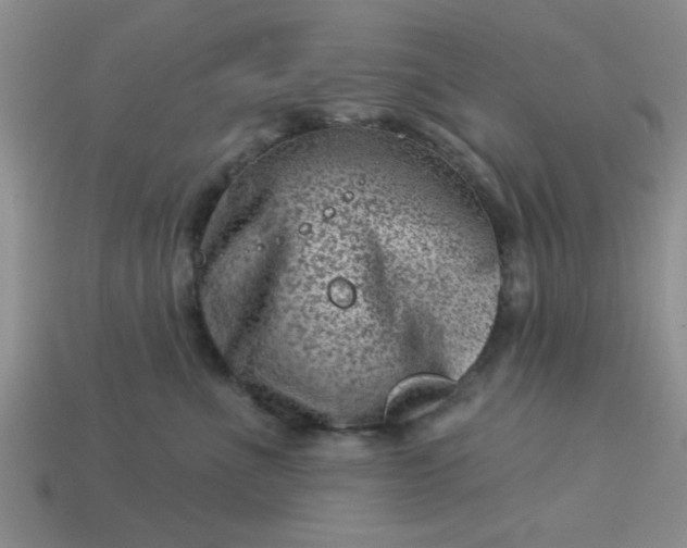 X0000113000523200909101759