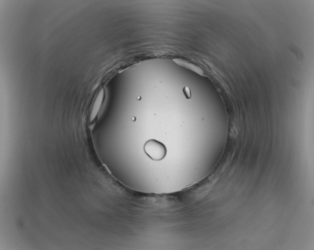 X0000113000524200909101759