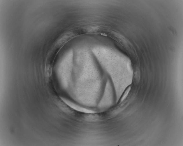 X0000113000525200909101759