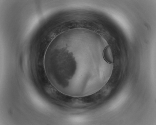 X0000113000526200909101759