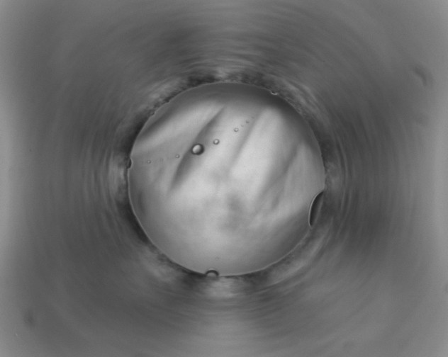 X0000113000527200909101759