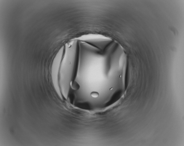 X0000113000528200909101759