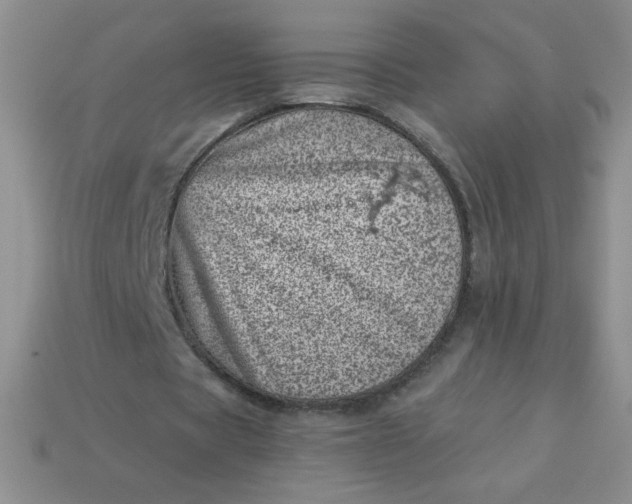 X0000113000529200909101758