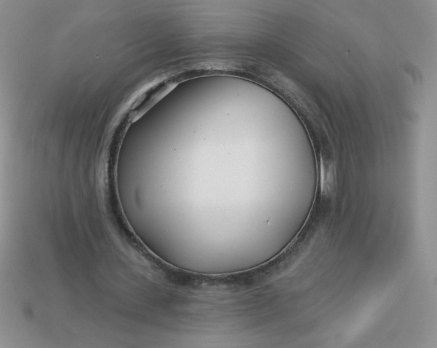 X0000113000531200909101758