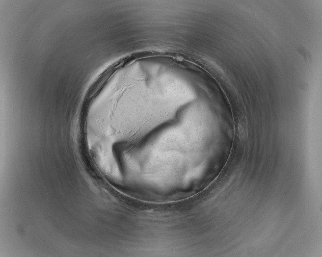 X0000113000532200909101758