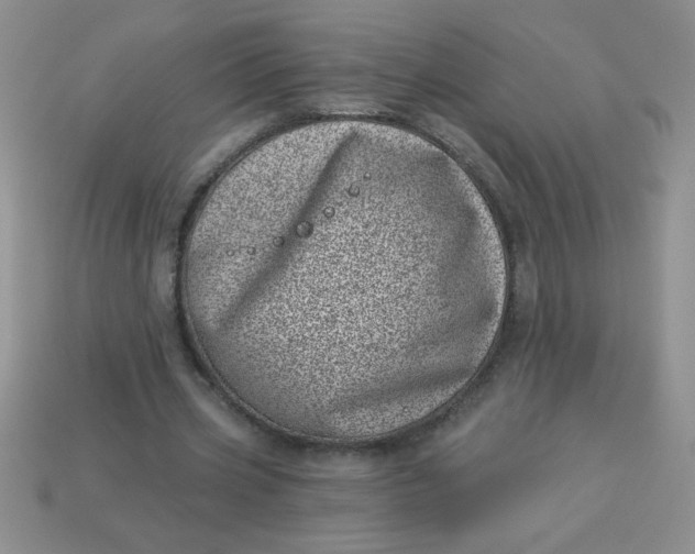 X0000113000533200909101758