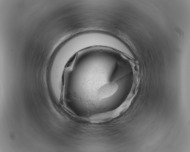 X0000113000534200909101758