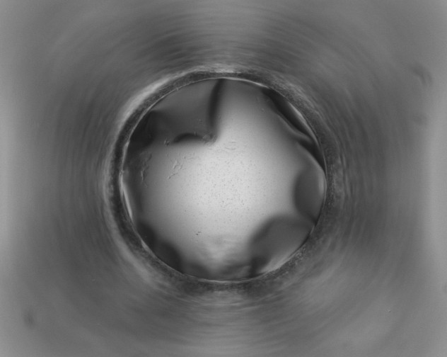 X0000113000536200909101758