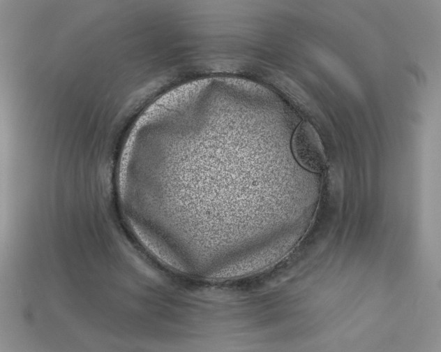 X0000113000537200909101758