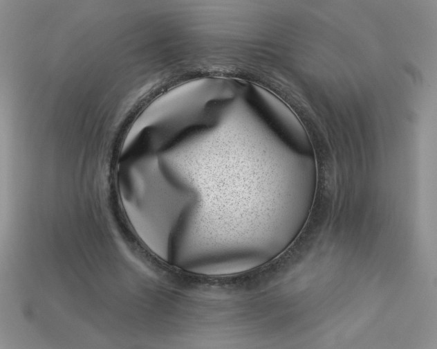 X0000113000538200909101758