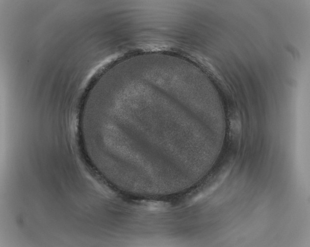 X0000113000539200909101758