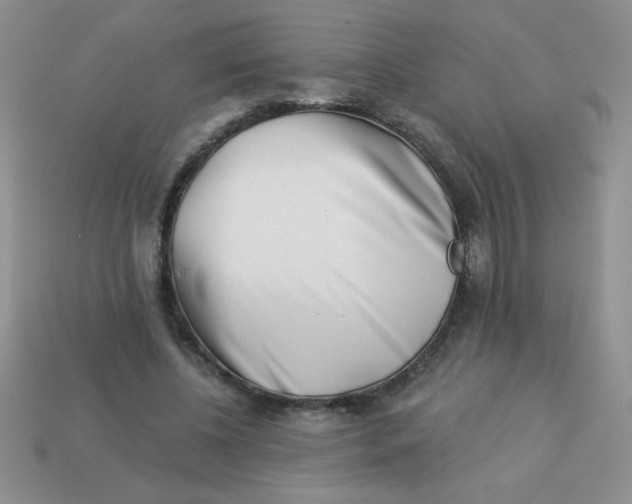 X0000113000540200909101758