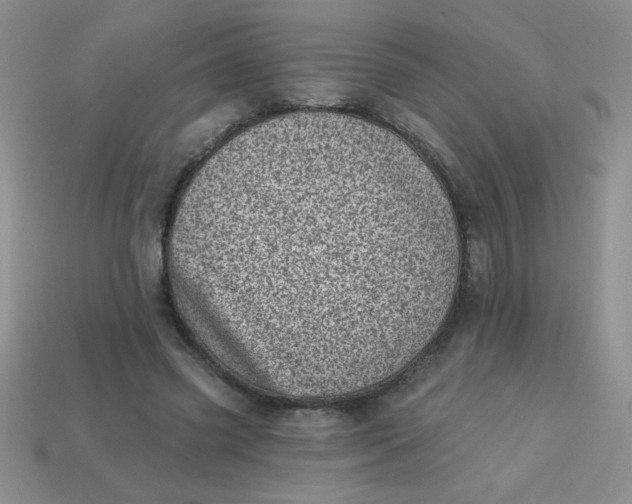 X0000113000541200909101758