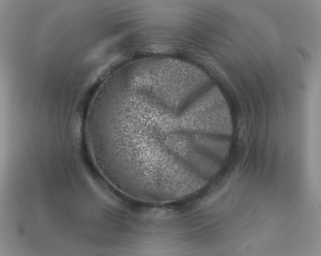 X0000113000542200909101758