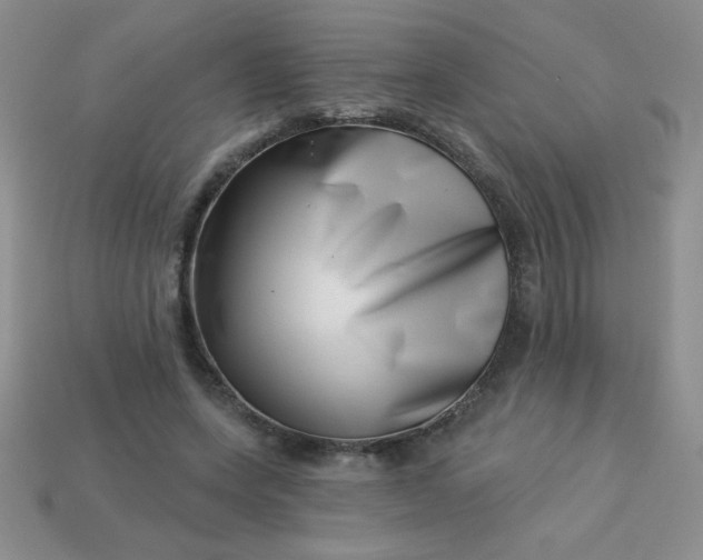 X0000113000543200909101758