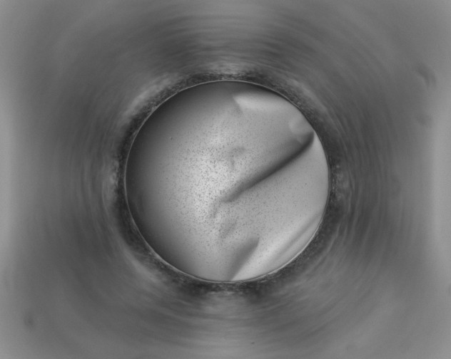 X0000113000544200909101758