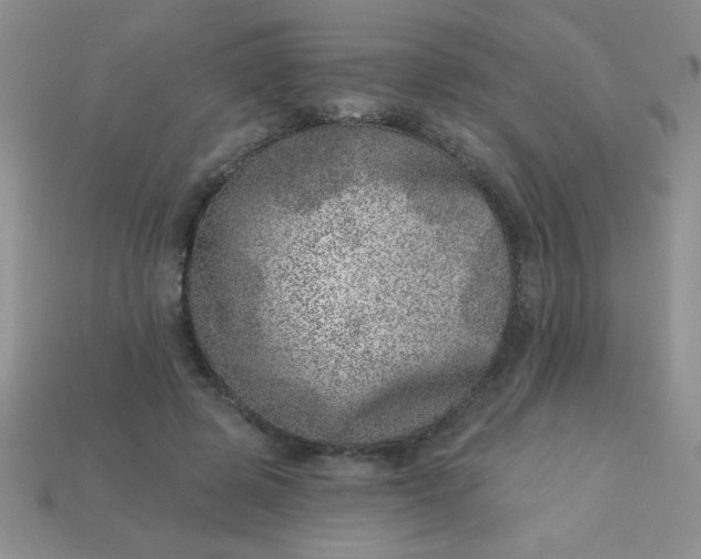 X0000113000545200909101759