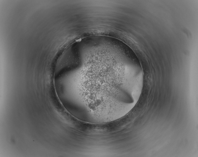 X0000113000546200909101759