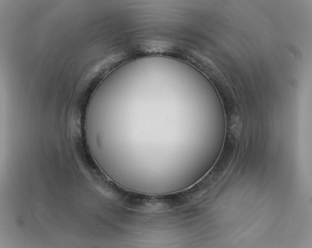 X0000113000547200909101759