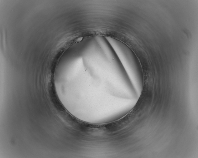 X0000113000548200909101759