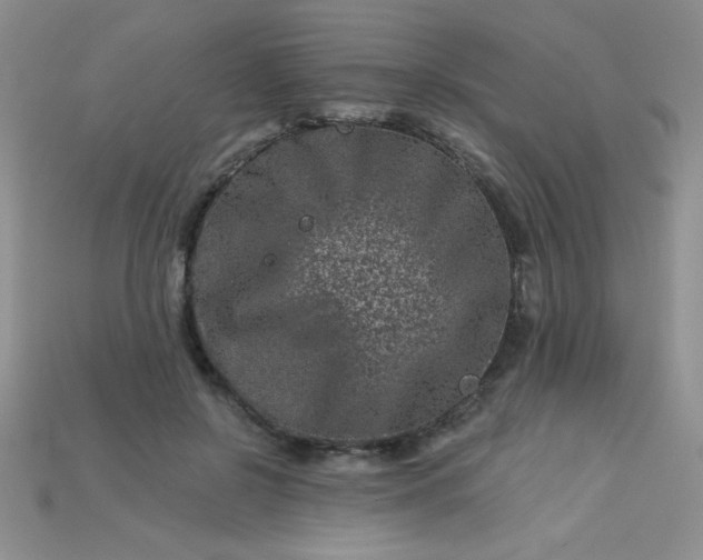 X0000113000550200909101759