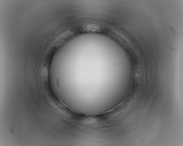 X0000113000551200909101759