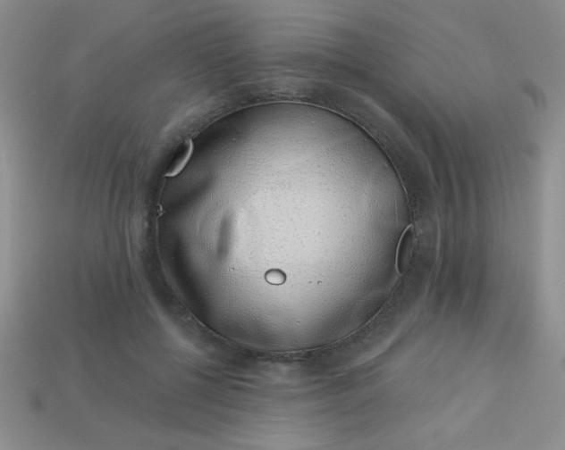 X0000113000552200909101759