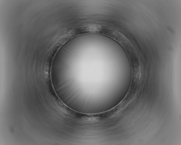 X0000113000553200909101759