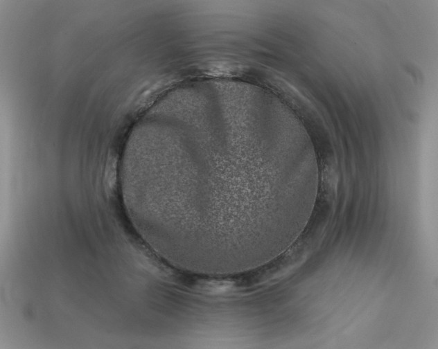 X0000113000554200909101759