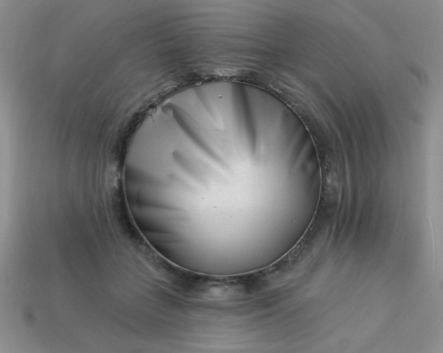 X0000113000555200909101759