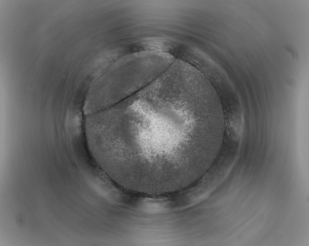 X0000113000556200909101759