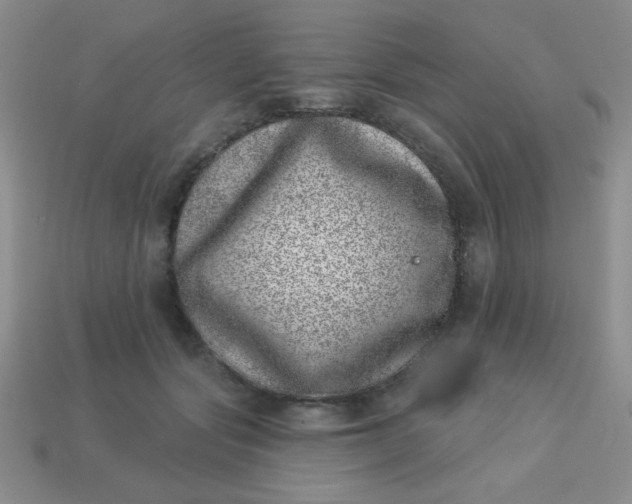 X0000113000557200909101759