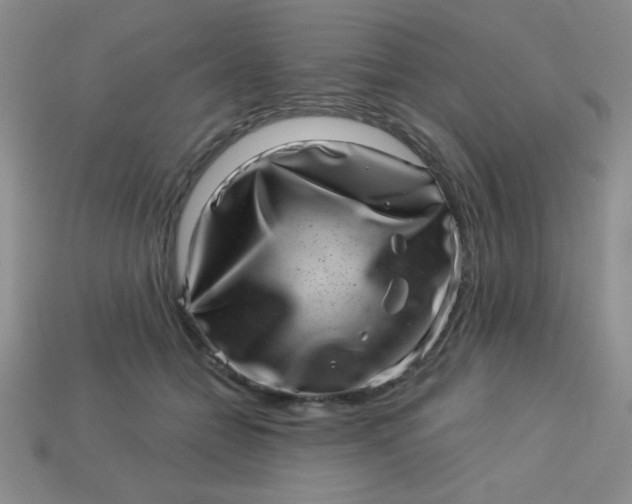 X0000113000558200909101759