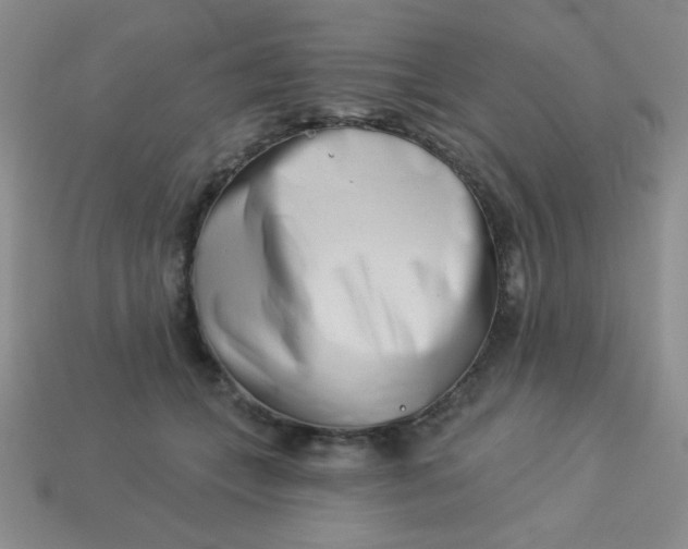 X0000113000559200909101759