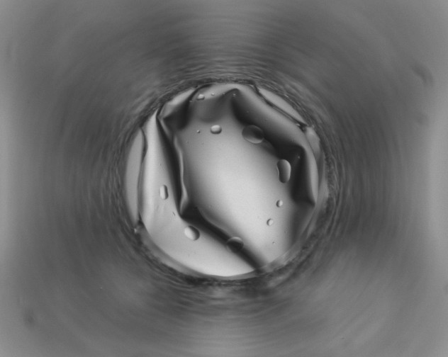 X0000113000560200909101759