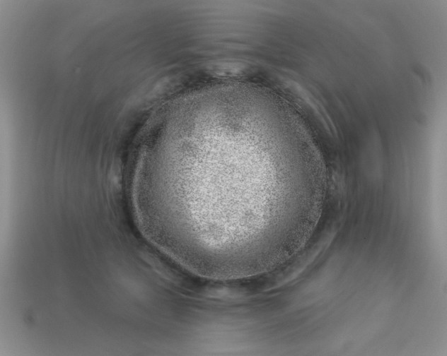 X0000113000561200909101759