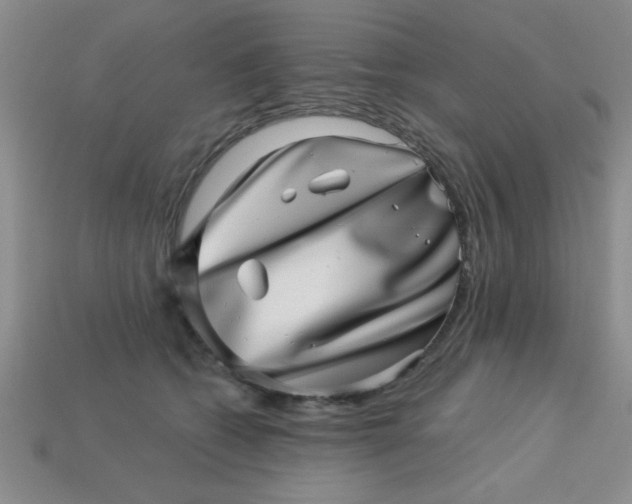 X0000113000562200909101759