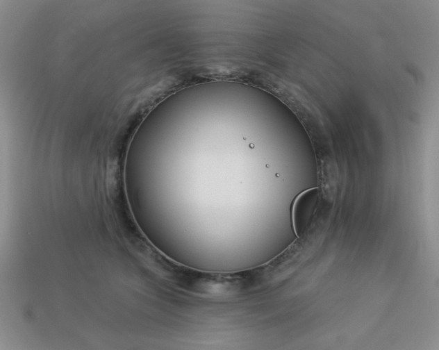 X0000113000563200909101759