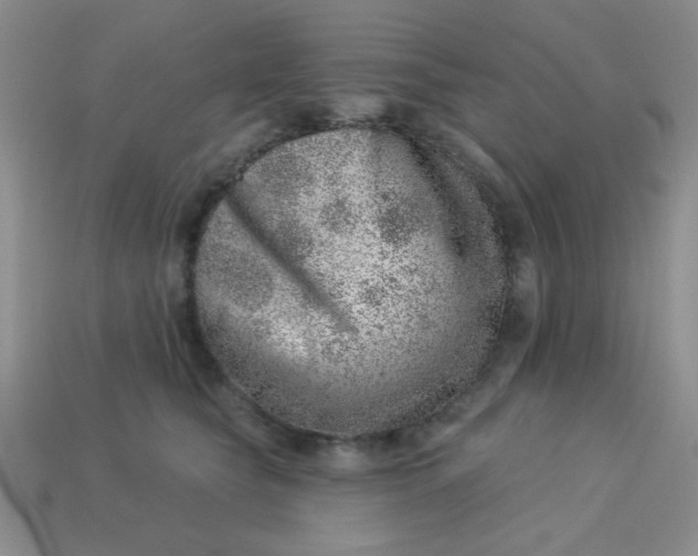 X0000113000565200909101759