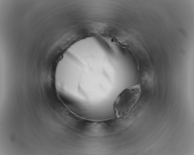 X0000113000566200909101759