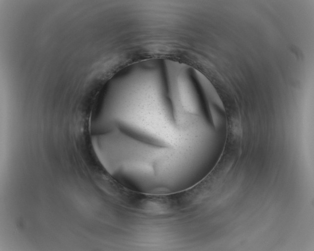 X0000113000567200909101759